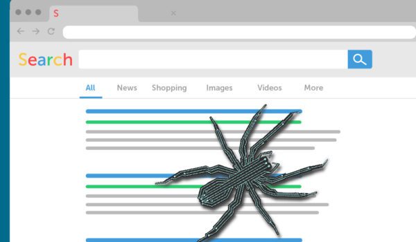 You’ve Crawled Your Site...Now what?