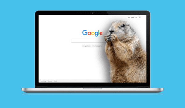 Did the Groundhog Update Just Take Place at Google?