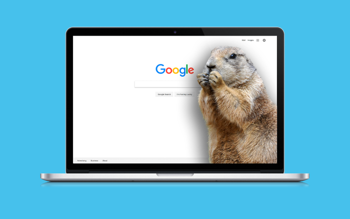 Did the Groundhog Update Just Take Place at Google?