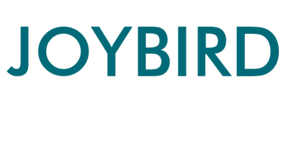 Joybird: Paid Advertising Success From Performance Max Testing