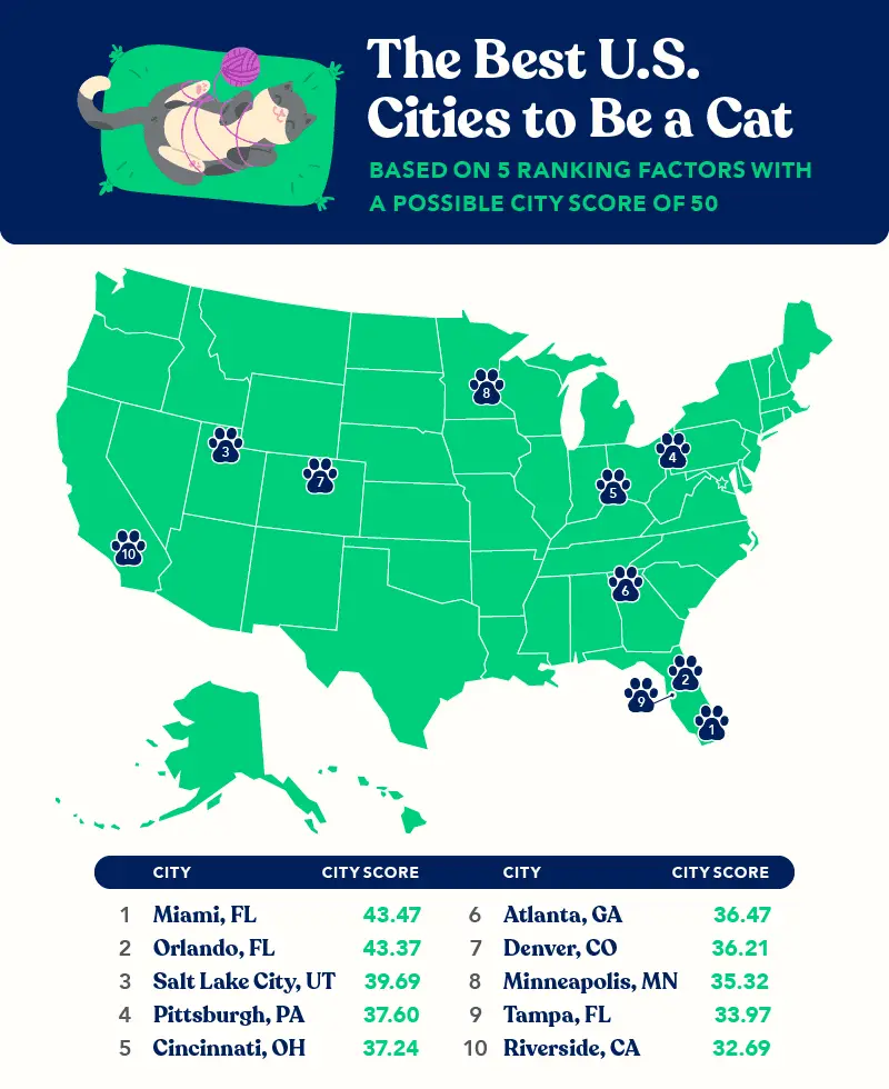 U.S. map showing the best cities to be a cat