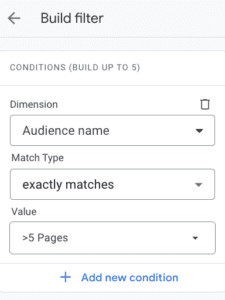 the build filter window for custom audiences 