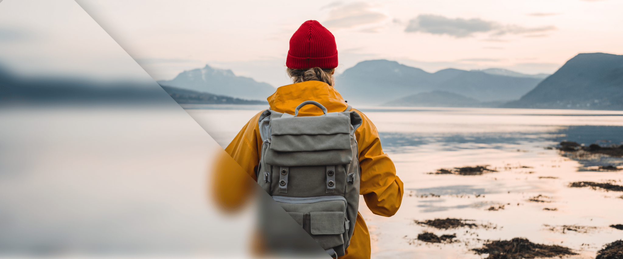 Search vs. Brand-Based: featured cover image