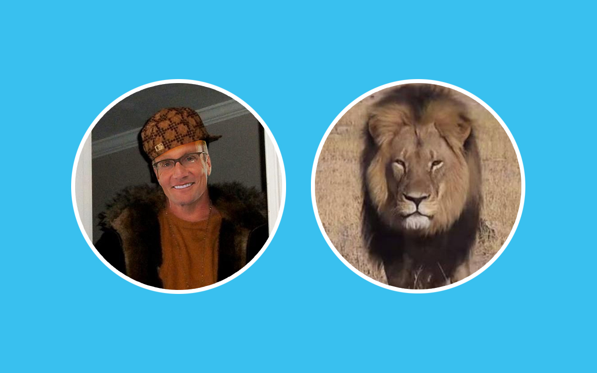 Could Cecil the Lion’s killer ever recover on Yelp? featured cover image
