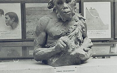 Linking in the PreHistory of Search featured cover image