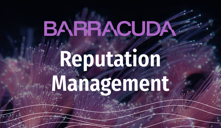 How Search Results Shape Brand Reputation (And How to Manage It) featured cover image