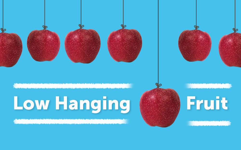 The term low hanging fruits generally stands for tasks... 