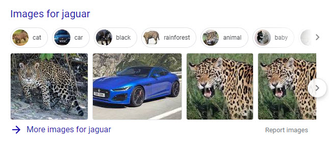 Image query results for Jaguar