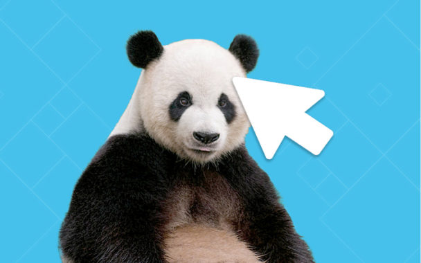 Click a Panda